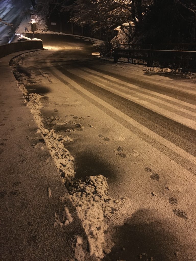 snow walk pdx winter wonderland condo driveway print foot