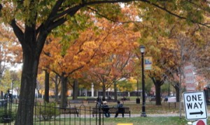 massachusetts park scene